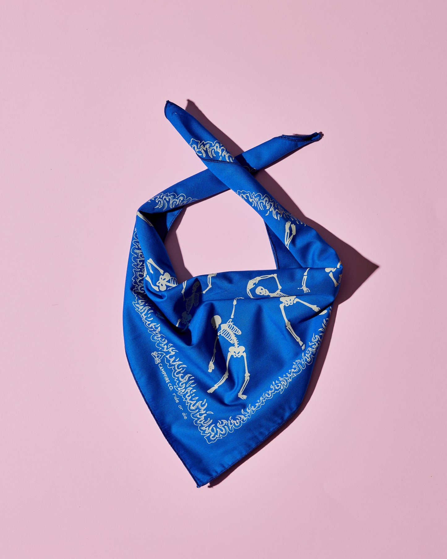 Blue Ride or Die Bandana